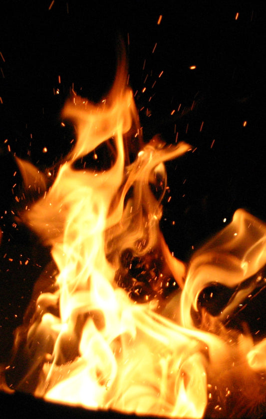 Alien Face 24*32 in.